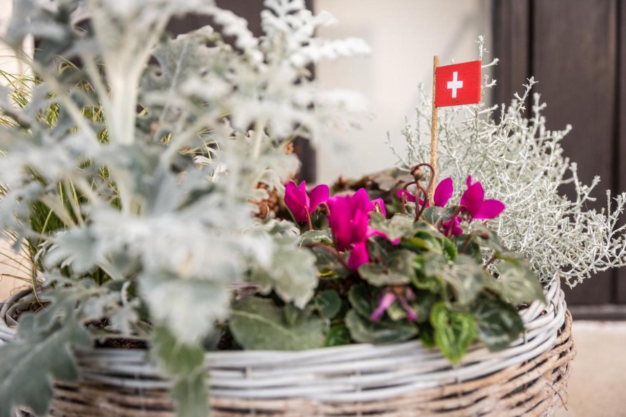 Bed and Breakfast Mybednbreakfast In Bottmingen Exterior foto